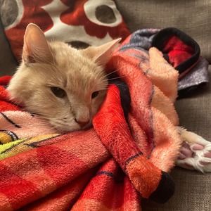 Meet your Posher, Marcie